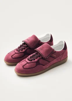 Tb.490 Club Himbeer Wildleder Sneaker
