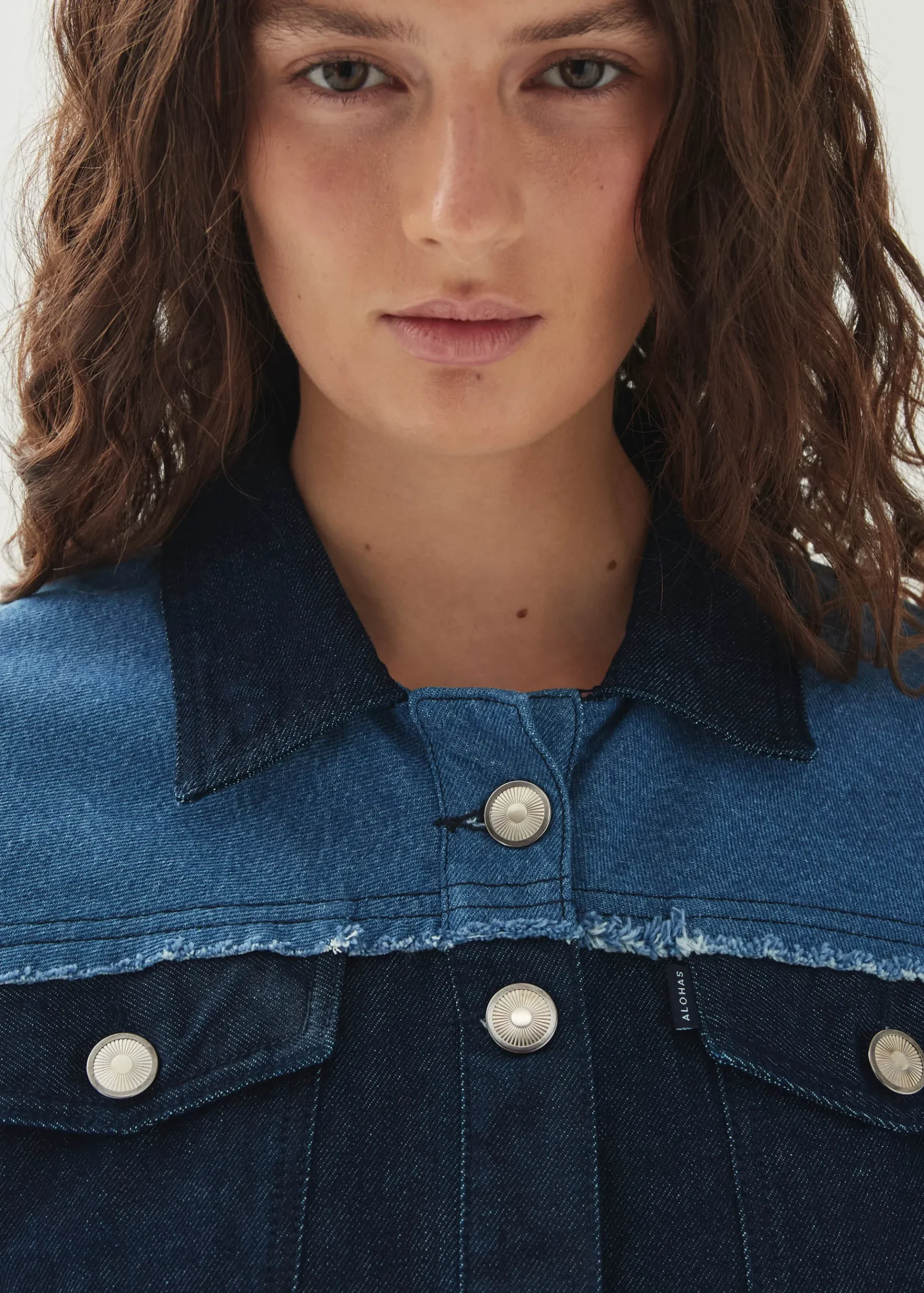 Veden Bicolor Indigo Denim Dress